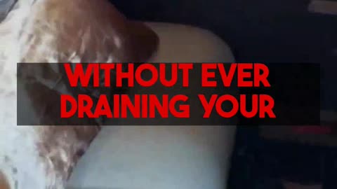 Mighty Travels Premium Best Practices: Fly Business Class & Book 5-Star Hotels.