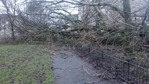 Walkie talkie: Post Scottish storm workplace arrangement....