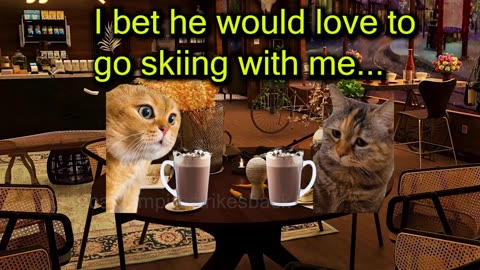 Two Cats Try Skiing for the First Time (Ep.103)