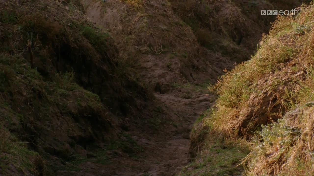 ŁOWCY 1 dokument pl