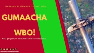 Gabaasa Gumaacha ONM-ABO Sadaasa 18-2025 itti dhiyaadhaa!