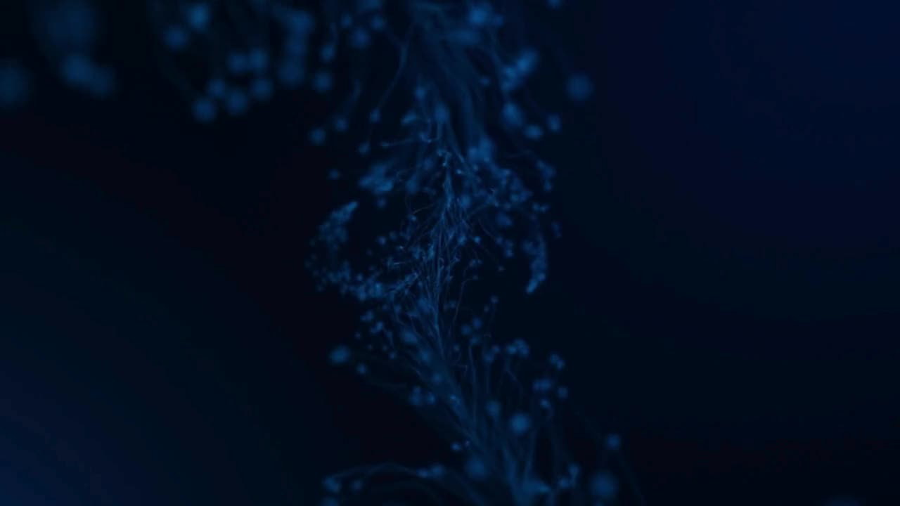 8 Tips for Effectively Managing Remote Agile Teams with Redmine