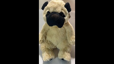 Mini-Vlog: Stop & Shop: Adorable & Soft 13” Pug-Faced Stuffed Plush Toy Plushy