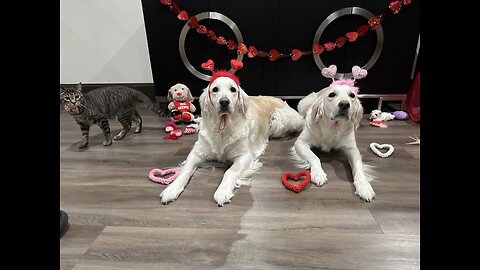 Episode 3097 - The Scott Adams School 02/18/26