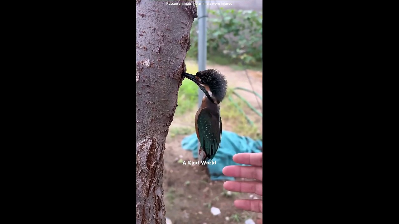 People are Kind Part_2