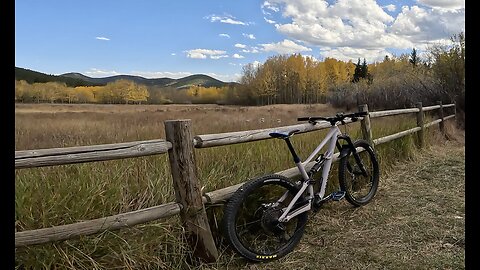 Mule Deer (clockwise) | Golden Gate Canyon State Park | Golden | Colorado