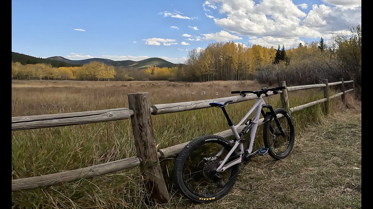 Mule Deer (clockwise) | Golden Gate Canyon State Park | Golden | Colorado
