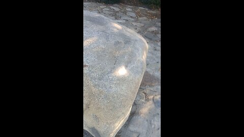 interview with a socialist