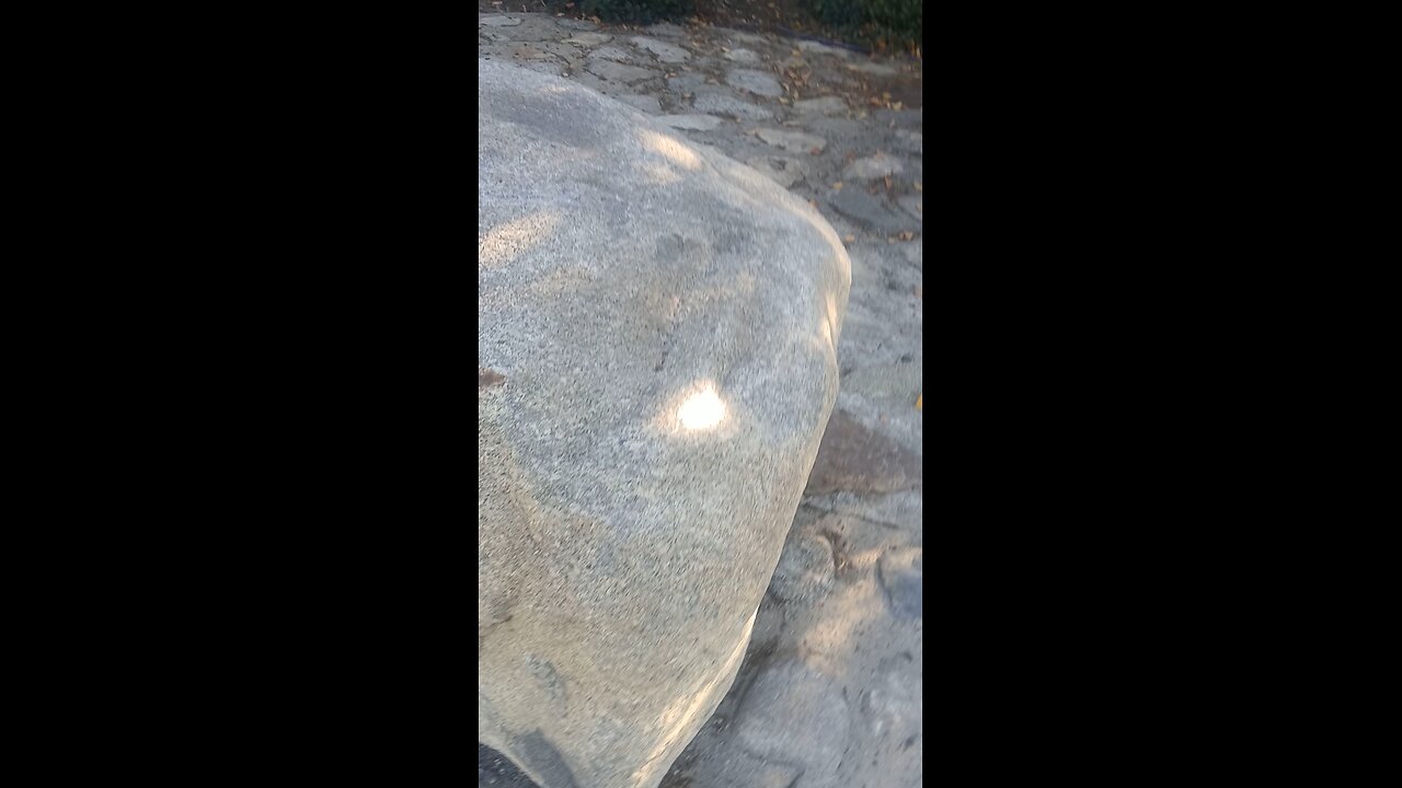 interview with a socialist