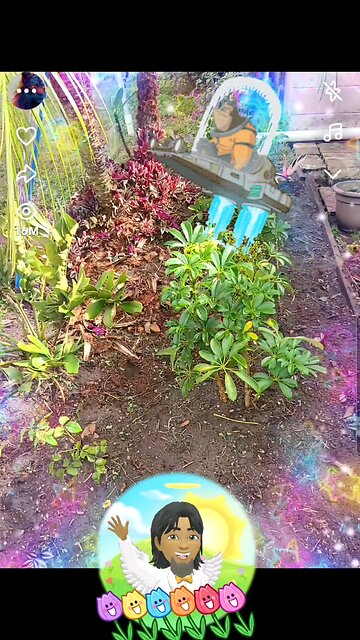 little bit of Love ❤️