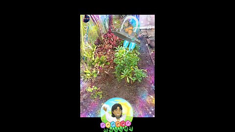 little bit of Love ❤️