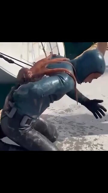 Pulpo 'ataca' a un buzo en Turquía que limpiaba el fondo de una yate