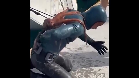 Pulpo 'ataca' a un buzo en Turquía que limpiaba el fondo de una yate