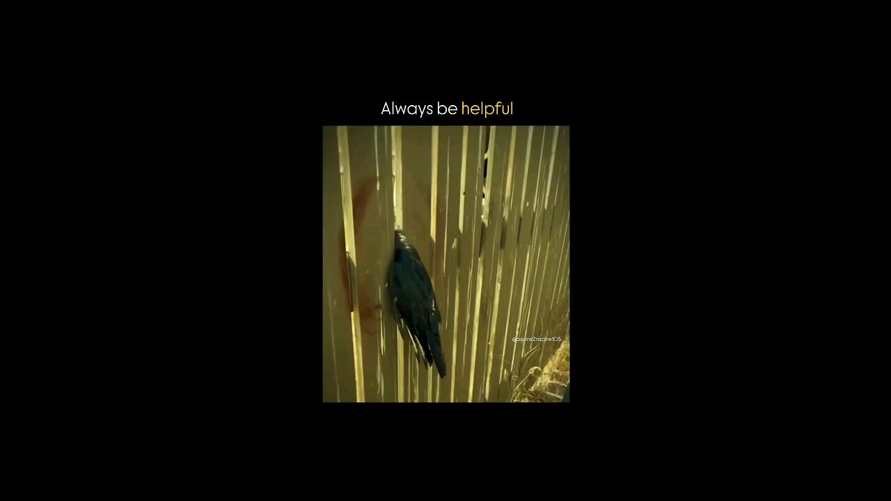 Always be helpful