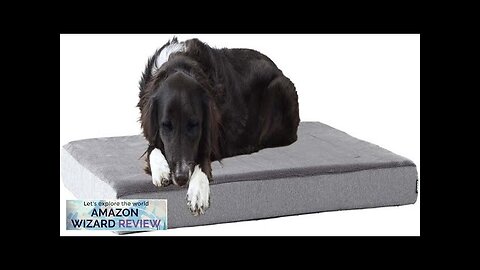 Barkbox Orthopedic Dog Bed Comfortable Memory Foam Mattress for Joint Relief Review