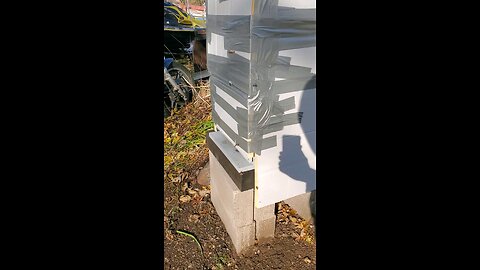 🐝Shungite Hive 11/14/25🐝👍