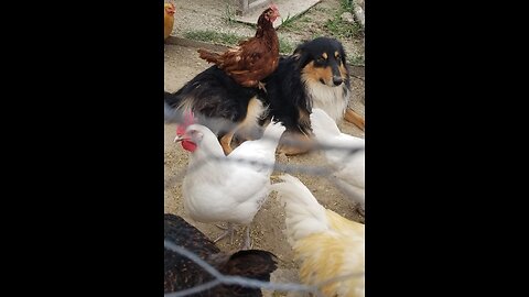 Real History with Melissa - Ep. 147 "Don, Blue, and aka Devin" - Jan. 22, 2026