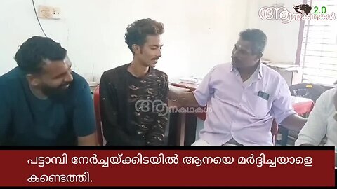 ആനയെ തല്ലിയവനെ കിട്ടിയിട്ടുണ്ട് _ Pattambi nercha 2024 elephant attack