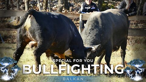 Ofinger od Ramljaka vs Brizan od Peruškovića Vinjani 2025