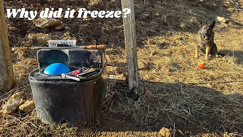 Our MiraFount Livestock Waterer Froze!