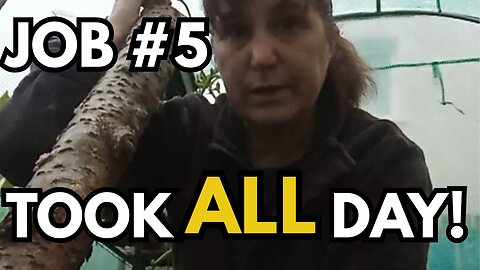 Garden Challenge Day 5 | The One That Nearly Broke Me!