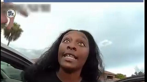 Another Black Legal Expert Dindu Nuffin Wrong