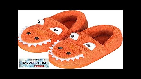 JACKSHIBO Girls Boys Home Slippers Warm Dinosaur House Slippers for Toddler Fur Review