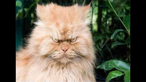 Show me your war face. 😎
