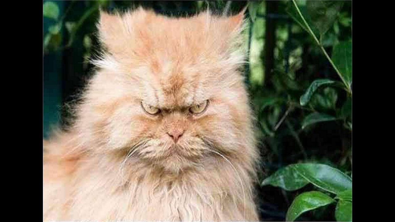 Show me your war face. 😎