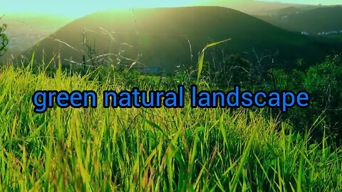 green natural landscape