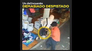 Un delincuente en su primer día de 'trabajo'