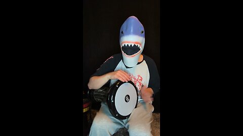 Sharky plays darbuka