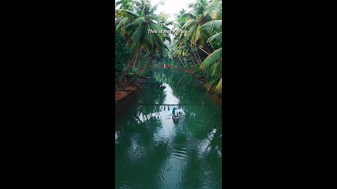 kerala nature beauty