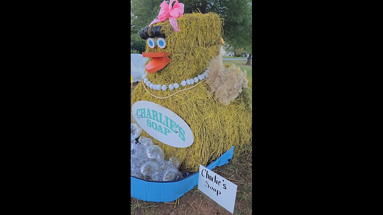 Hay Chicken, Halloween Hay