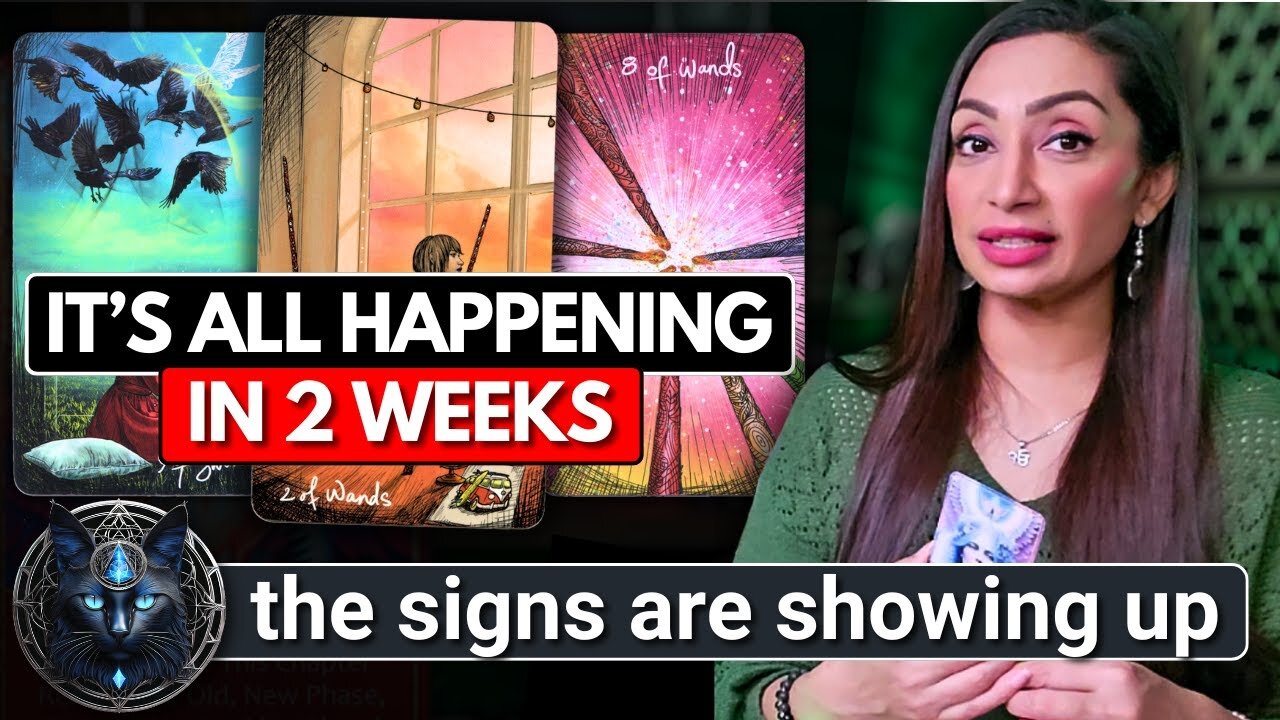 Before You Do Anything ~ You Need To Watch This! 🍀🐞🍀 ☾₊‧⁺˖⋆
