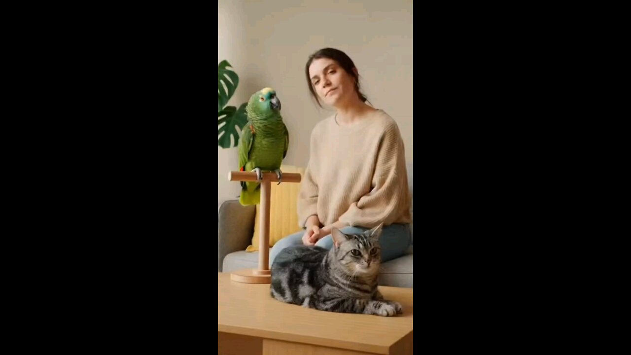 The Parrot Translates What the Cat Really Thinks