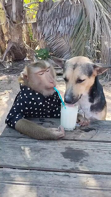 Perfect video SokYaa, OG, Pao & Mom Are Famous Around The World #shorts #anime #trend #edit