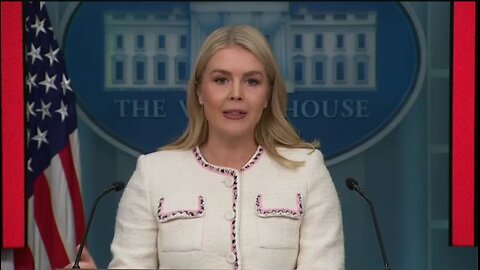 Karoline Leavitt BRINGS RECEIPTS On Illegal Aliens Getting Medicaid Under Democrats