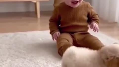 The cute puppy is playing with the baby