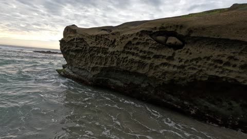 DRAGON DRINKS & Relaxes #nature #dragon #relax