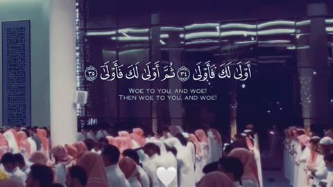 Jaza kallah ♥️✨