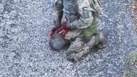 Ukraine war combat footage 10/11/25