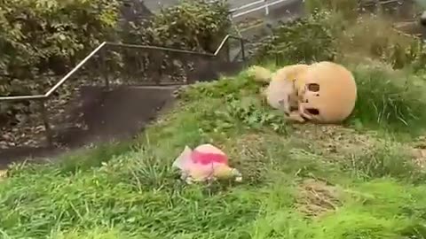 🤔👀 This Person's Guess is HILARIOUS! | FunFM