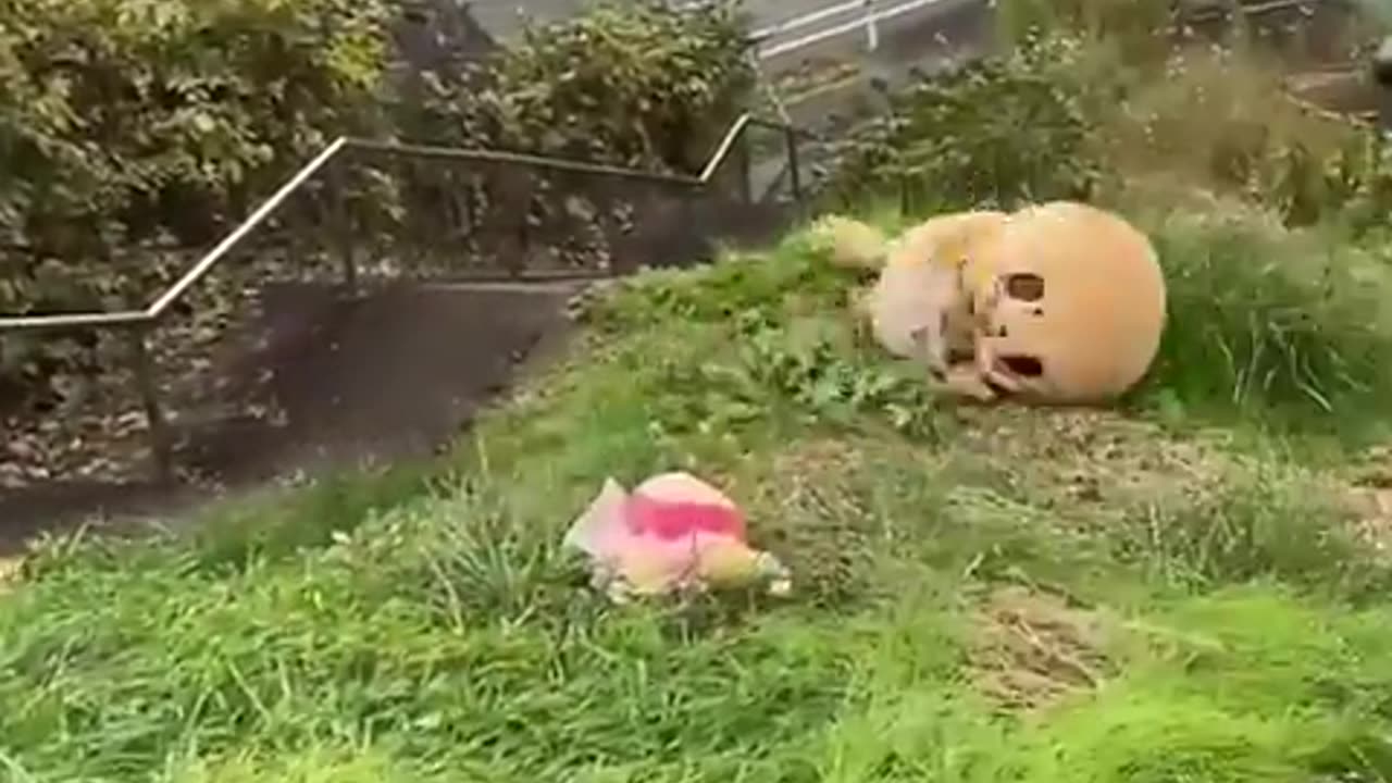 🤔👀 This Person's Guess is HILARIOUS! | FunFM