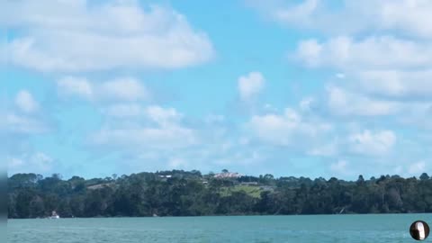 Waitemata Harbour Auckland New Zealand Tour