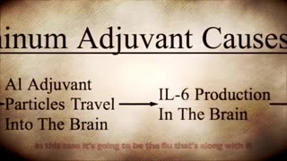 Swine⧸Avian Flu： W.H.O Gencide Program