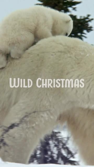 Cute, cozy, and full of wonder, nature has its own magic.