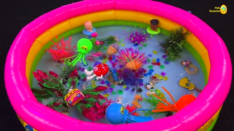 Amazing pool wth colorful surprise eggs, koi, turtle, betta fish catch, goldfish, dinosaurs