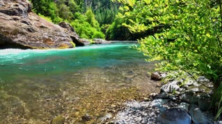 Forest River Flow 🌲💧 | Peaceful Woods & Relaxing River Sounds