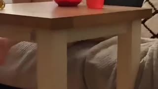 🤣💀 Bro Seriously Had ENOUGH! | FunFM